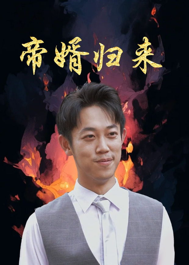 帝婿归来封面图