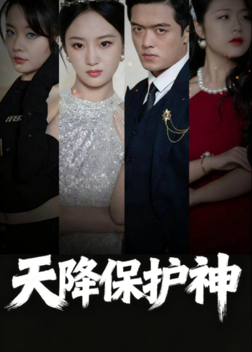 天降保护神封面图