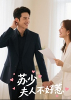 苏少夫人不好惹