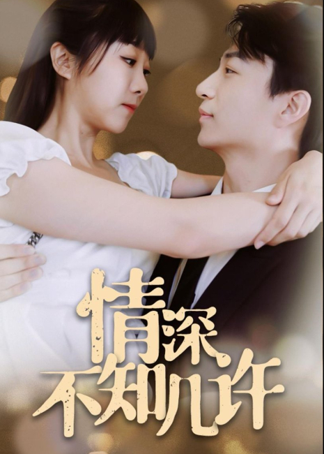 情深不知几许封面图