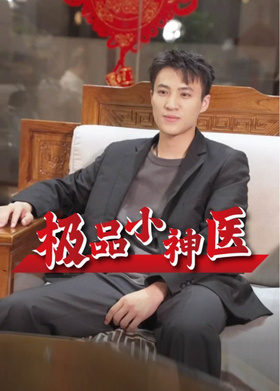 极品小神医