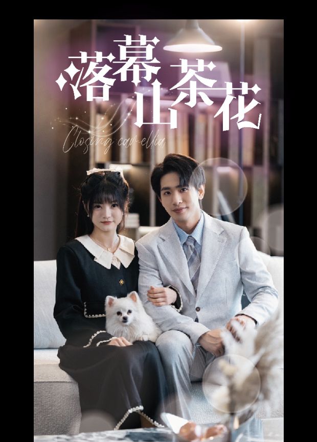 落幕山茶花封面图