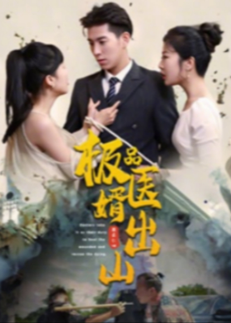 极品医婿出山封面图