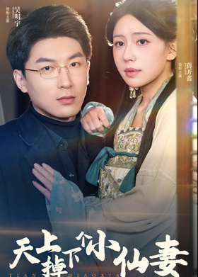 天上掉下个小仙妻