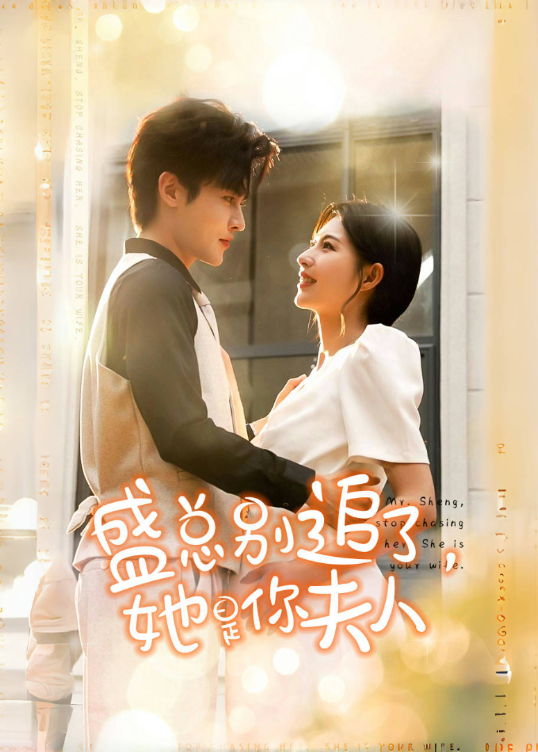 盛总别追了她是你夫人