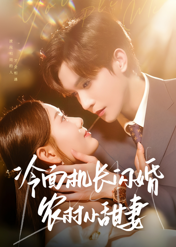 冷面机长闪婚农村小甜妻