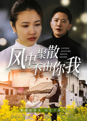 风中聚散不由你我