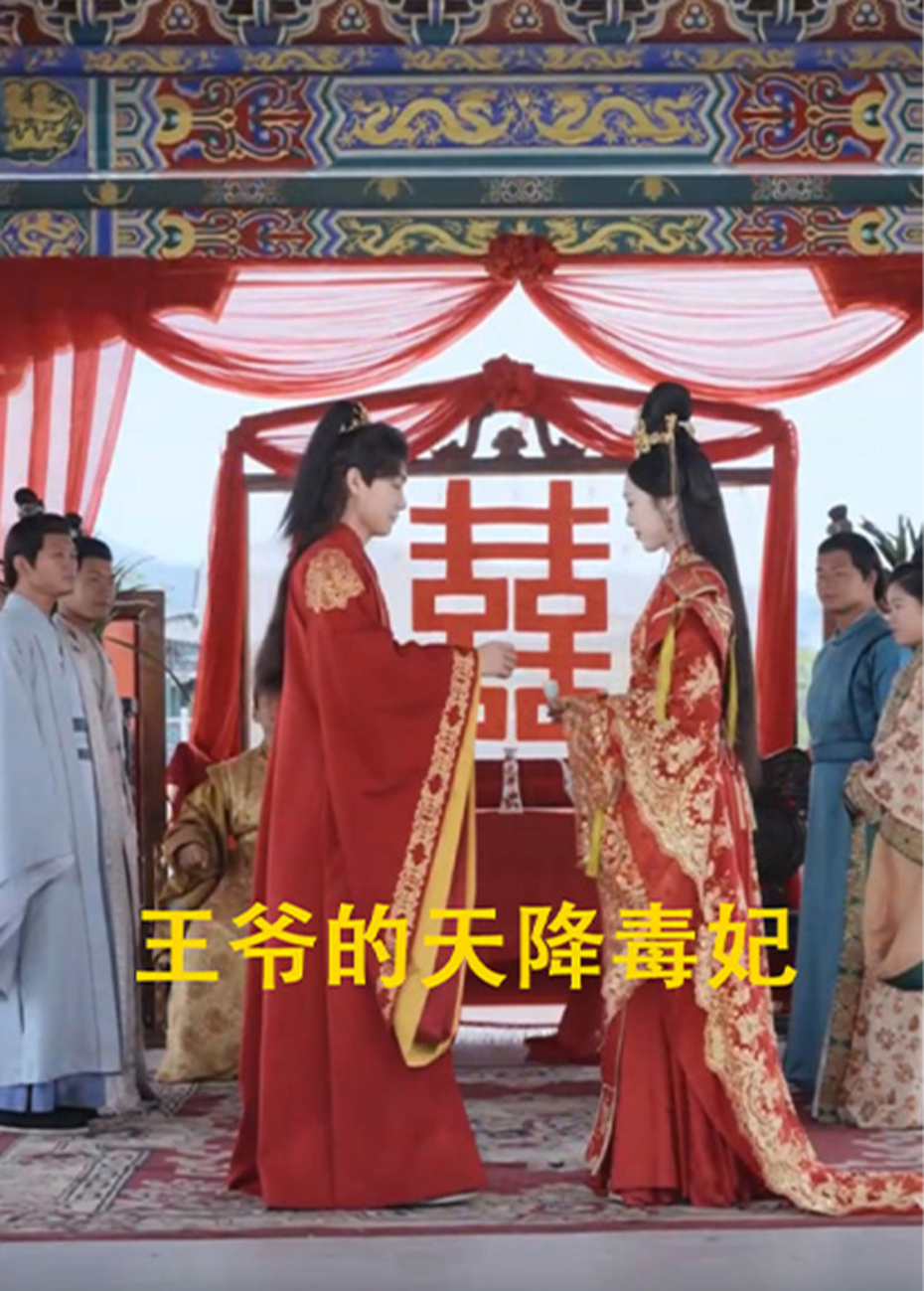 王爷的天降毒妃