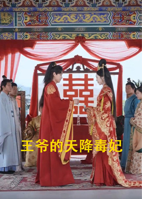 王爷的天降毒妃