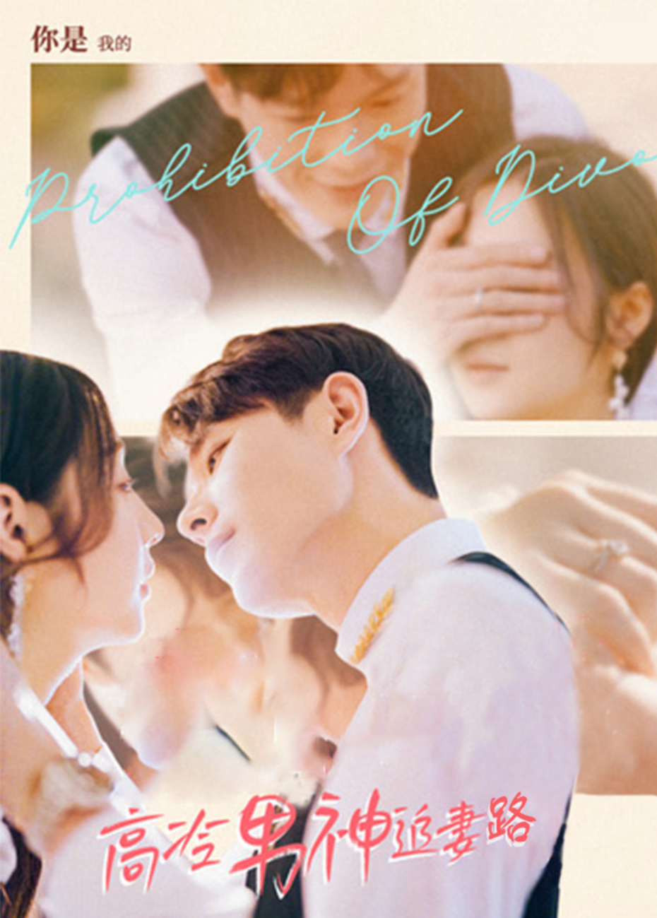 高冷男神追妻路封面图