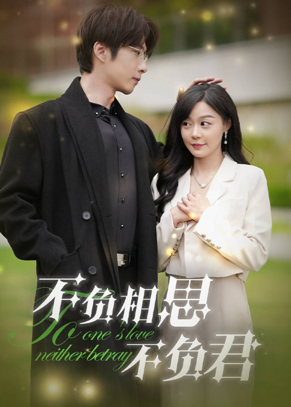 不负相思不负君封面图