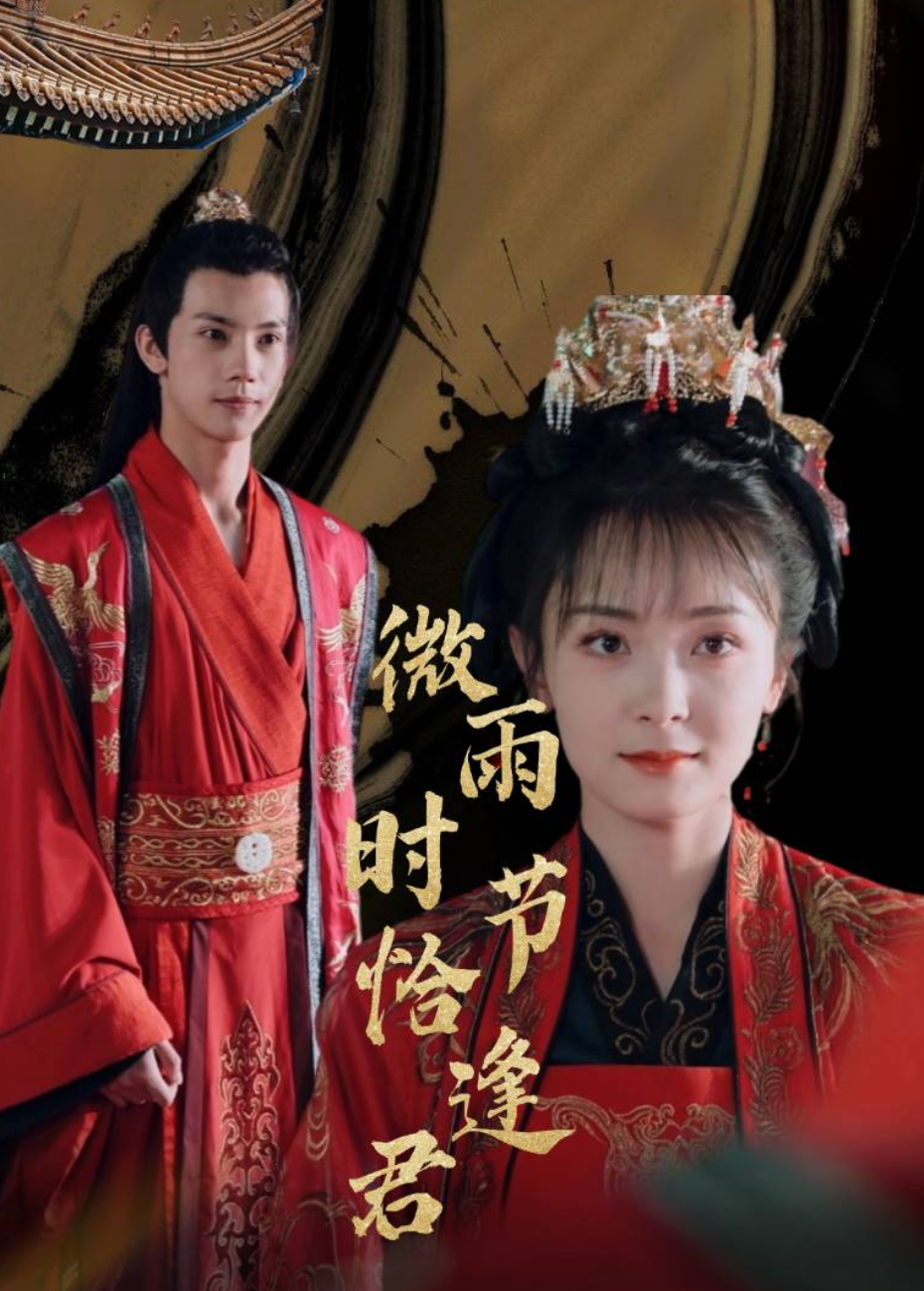 微雨时节恰逢君