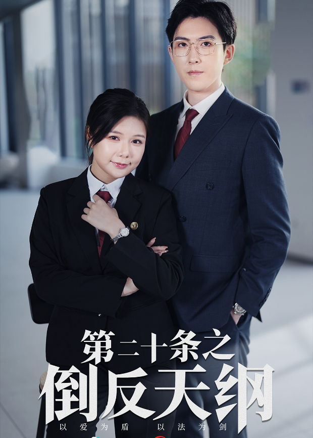 第二十条之倒反天纲封面图