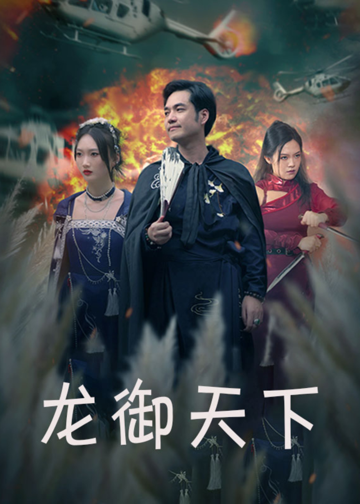 龙御天下封面图