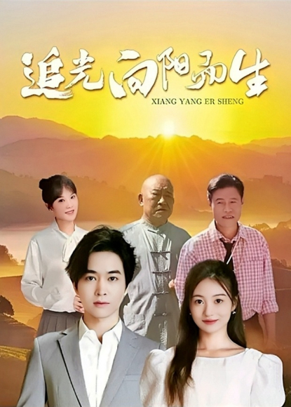 追光向阳而生封面图