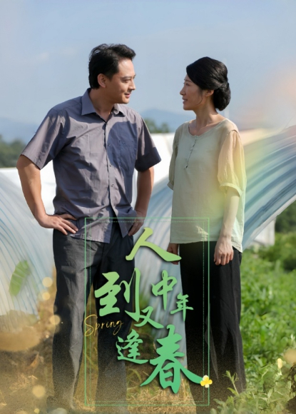 人到中年又逢春封面图