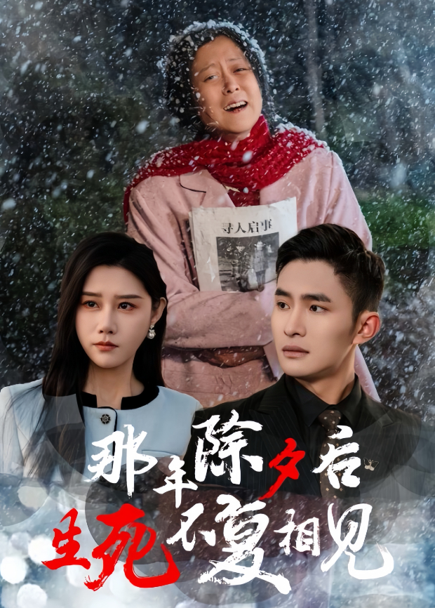 那年除夕后，生死不复相见封面图