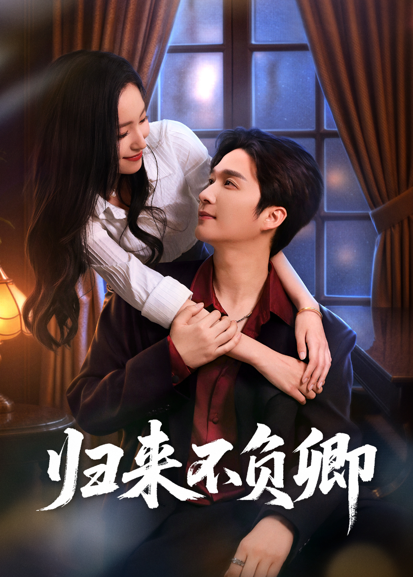 归来不负卿封面图