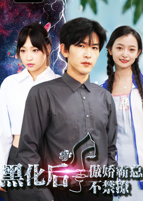 黑化后傲娇总裁不禁撩