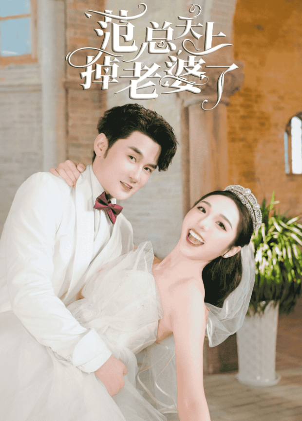 范总天上掉老婆了