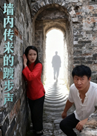 墙内传来的踱步声