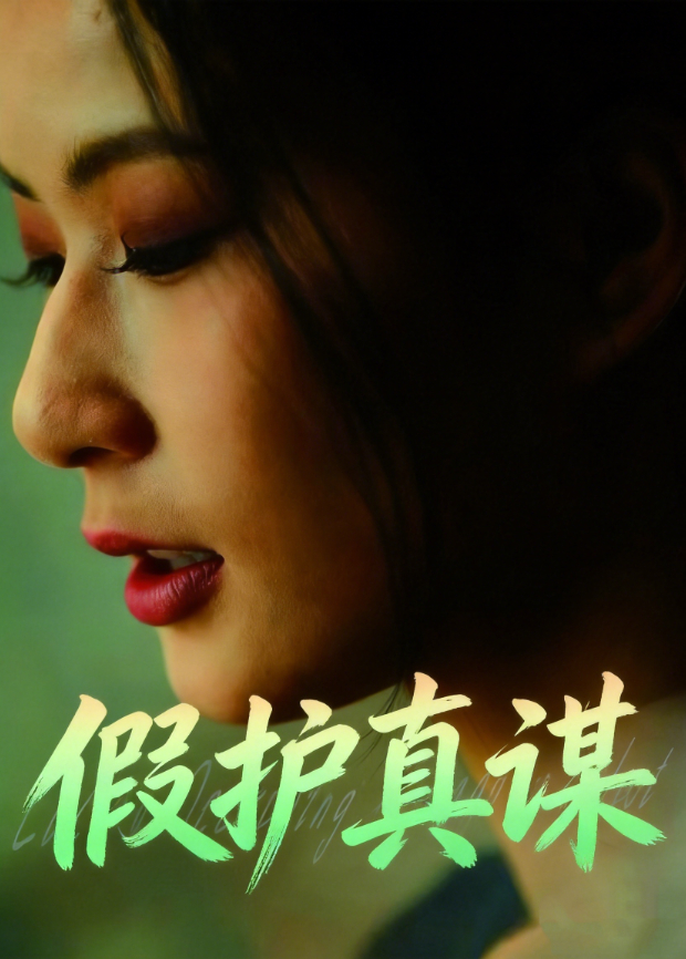 假护真谋
