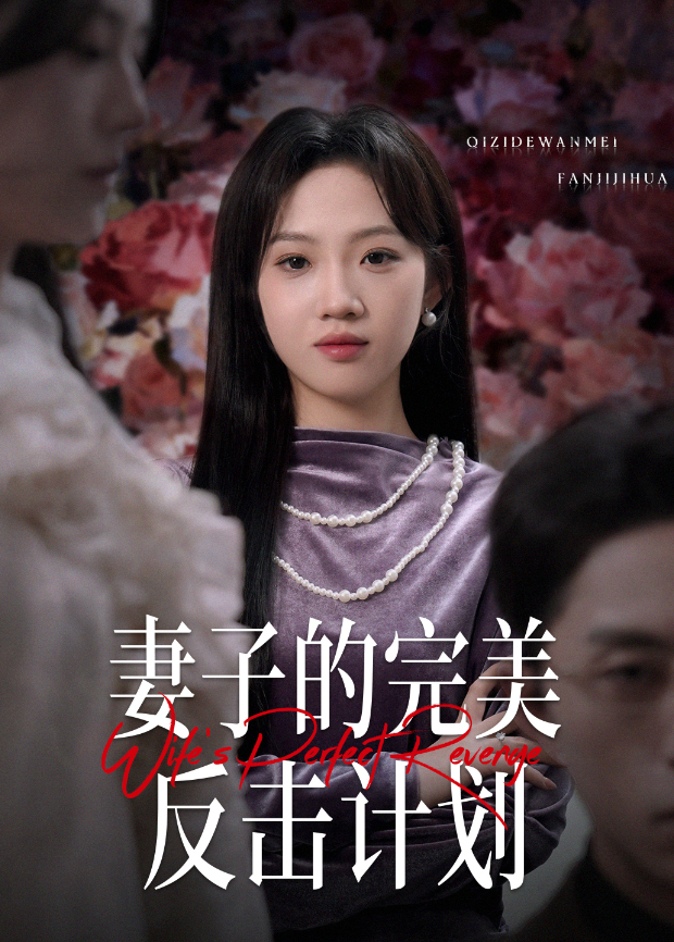 妻子的完美反击计划