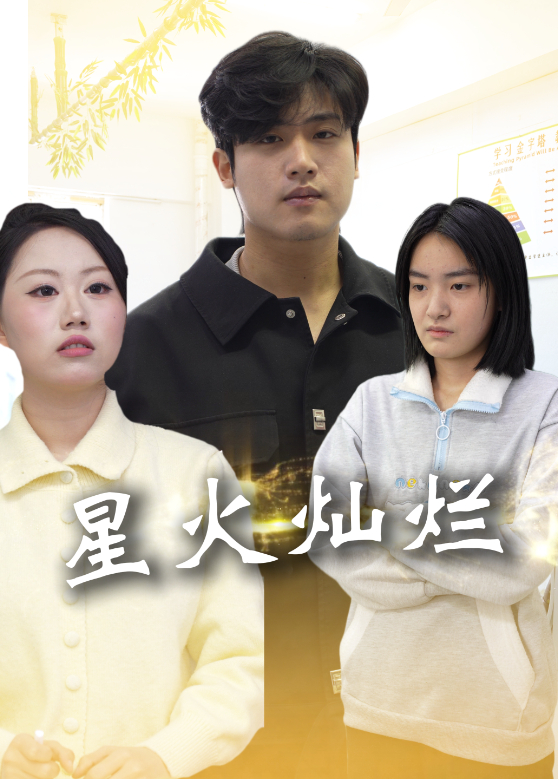 星火灿烂封面图
